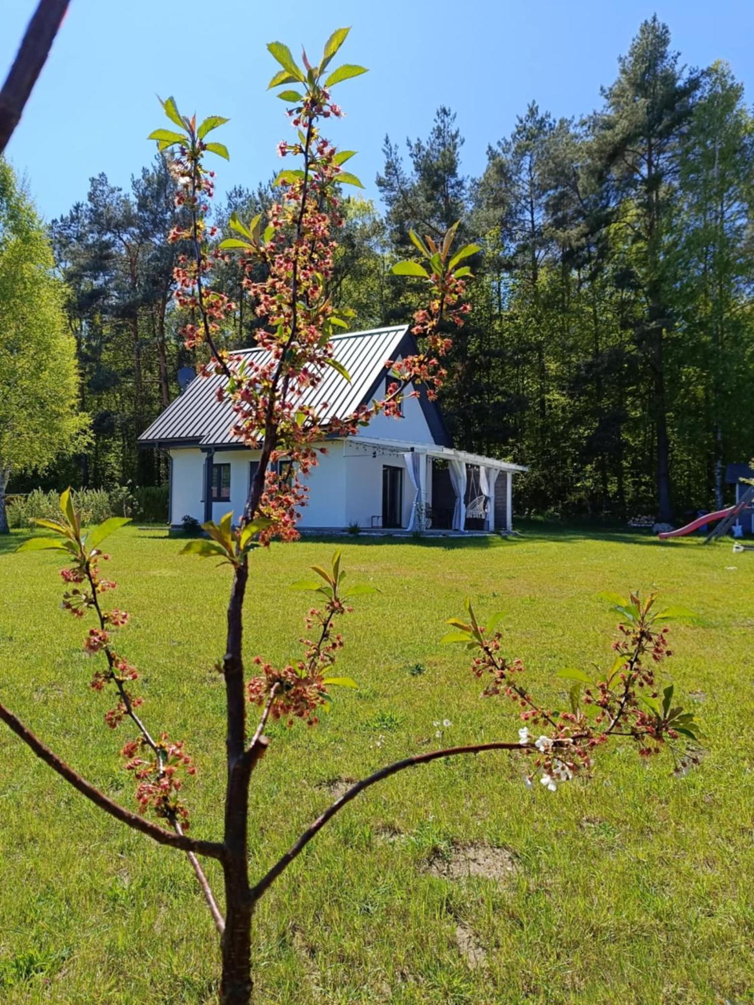 Villa Jeszcze Bardziej Dziki Sad à Slajszewo Extérieur photo